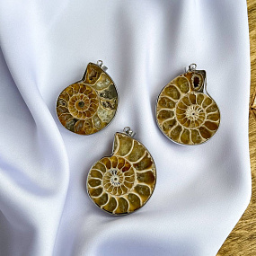 Кулон из Аммонита в оправе , Артикул: 074904 - изображение товара №2
