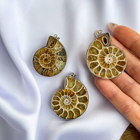 Кулон из Аммонита в оправе , Артикул: 074904 - изображение товара №1
