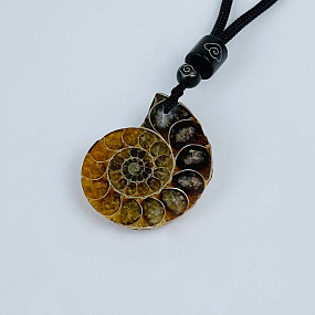 Кулон на шнурке из Аммонита, Артикул: 085785 - изображение товара №3