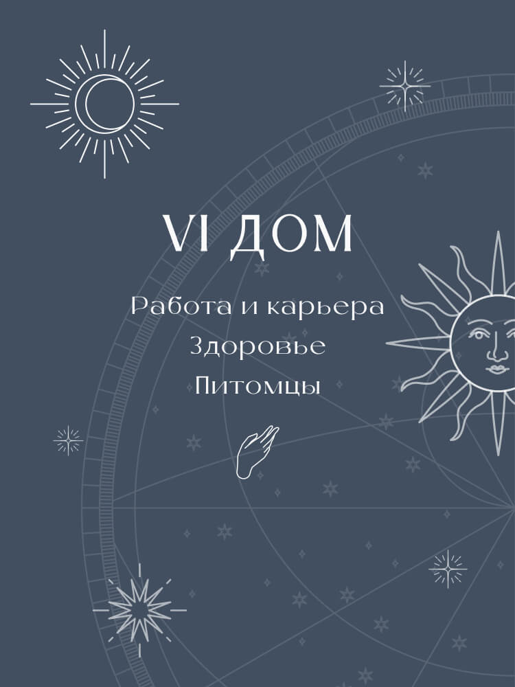 Шестой дом в натальной карте — карьера, здоровье, домашние питомцы Шестой дом в натальной карте — карьера, здоровье, домашние питомцы