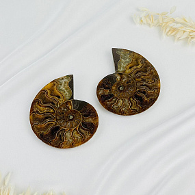 Аммонит (пара), Артикул: 087691 - изображение товара №1