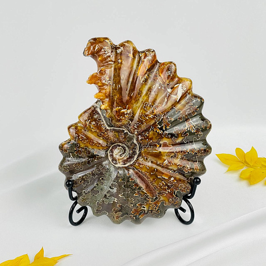 Срез Аммонита на подставке, Артикул: 080957 - изображение товара №3