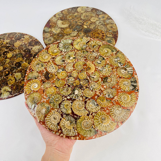 Подставка декоративная из Аммонитов, Артикул: 112883 - изображение товара №1