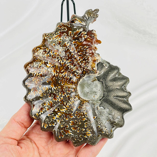 Аммонит на подставке, Артикул: 087675 - изображение товара №3