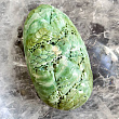 Камнерезная миниатюра из Агальматолита