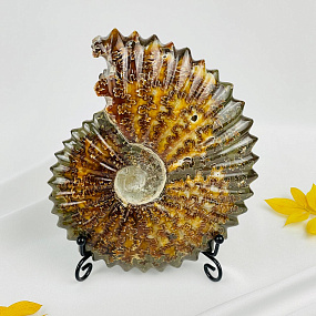 Аммонит на подставке
