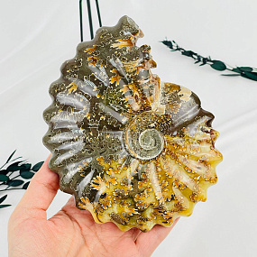 Аммонит на подставке, Артикул: 083101 - изображение товара №3