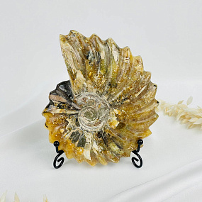 Аммонит на подставке, Артикул: 083107 - изображение товара №2