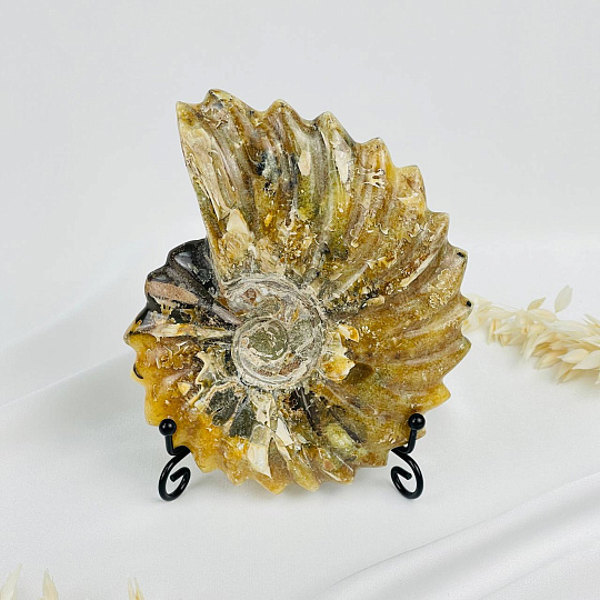 Аммонит на подставке, Артикул: 083107 - изображение товара №2