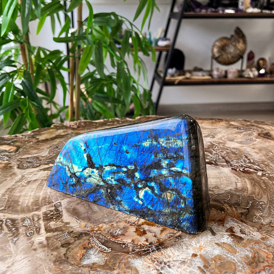 Срез (экран) из камня Лабрадор полированный, Артикул: 100961 - изображение товара №1