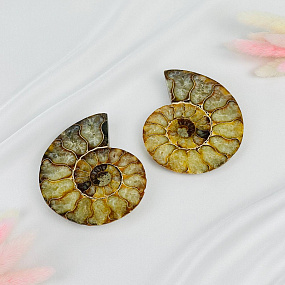 Срез Аммонита (пара), Артикул: 080916 - изображение товара №1