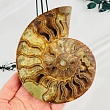 Срез Аммонита на подставке