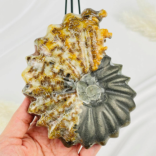 Аммонит на подставке, Артикул: 083112 - изображение товара №3