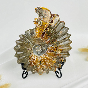 Аммонит на подставке, Артикул: 087680 - изображение товара №2