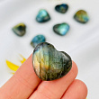 Сердце из Лабрадора