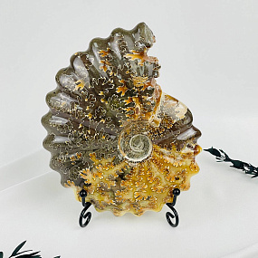 Аммонит на подставке, Артикул: 083101 - изображение товара №2