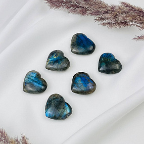 Сердце из Лабрадора