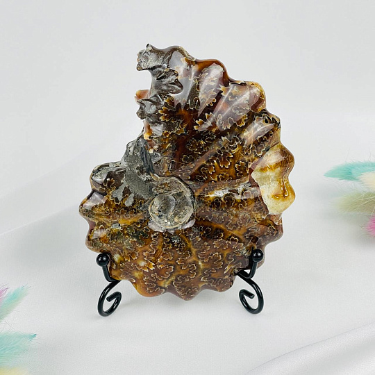 Аммонит на подставке, Артикул: 087672 - изображение товара №2