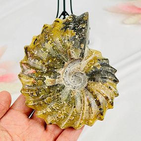 Аммонит на подставке, Артикул: 087682 - изображение товара №3