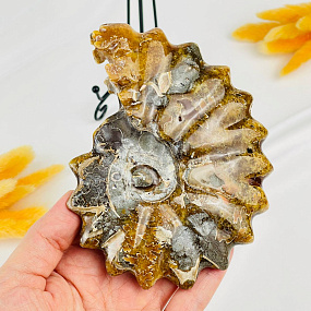 Аммонит на подставке, Артикул: 087683 - изображение товара №3