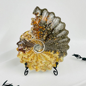 Аммонит на подставке