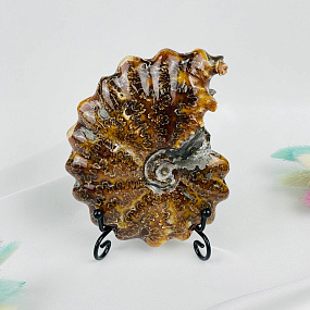 Аммонит на подставке