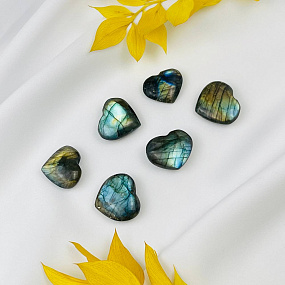 Сердце из Лабрадора
