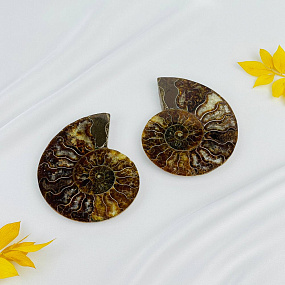 Аммонит (пара), Артикул: 087715 - изображение товара №1