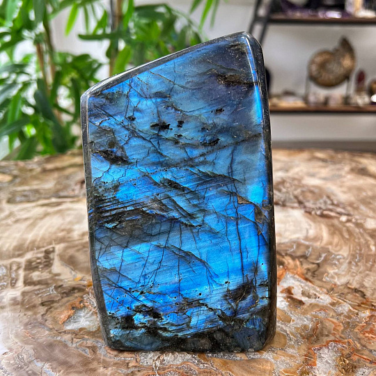 Срез (экран) из камня Лабрадор полированный, Артикул: 101010 - изображение товара №1