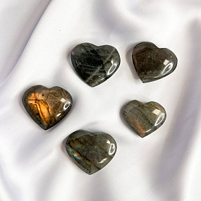 Сердце из Лабрадора