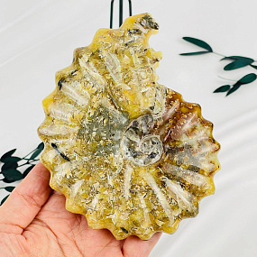 Аммонит на подставке, Артикул: 087681 - изображение товара №3