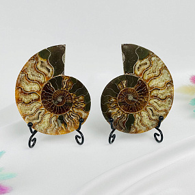 Срез Аммонита (пара), Артикул: 080910 - изображение товара №1