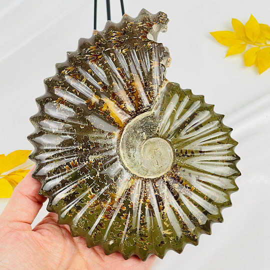 Аммонит на подставке, Артикул: 087677 - изображение товара №3