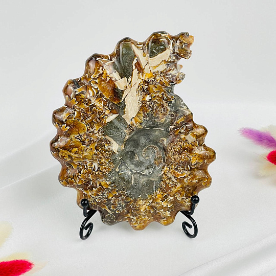 Аммонит на подставке, Артикул: 087676 - изображение товара №2