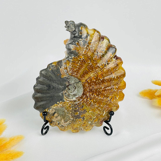 Срез Аммонита на подставке, Артикул: 080942 - изображение товара №2