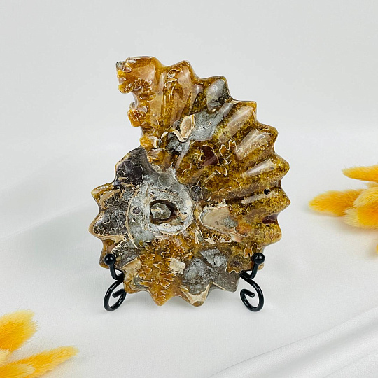 Аммонит на подставке, Артикул: 087683 - изображение товара №2